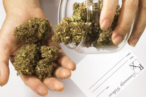 Stop Powdery Mildew on Marijuana