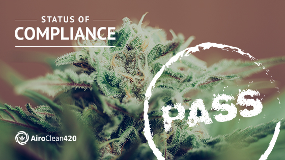 Don't let cannabis compliance cost you - Learn how to avoid big losses