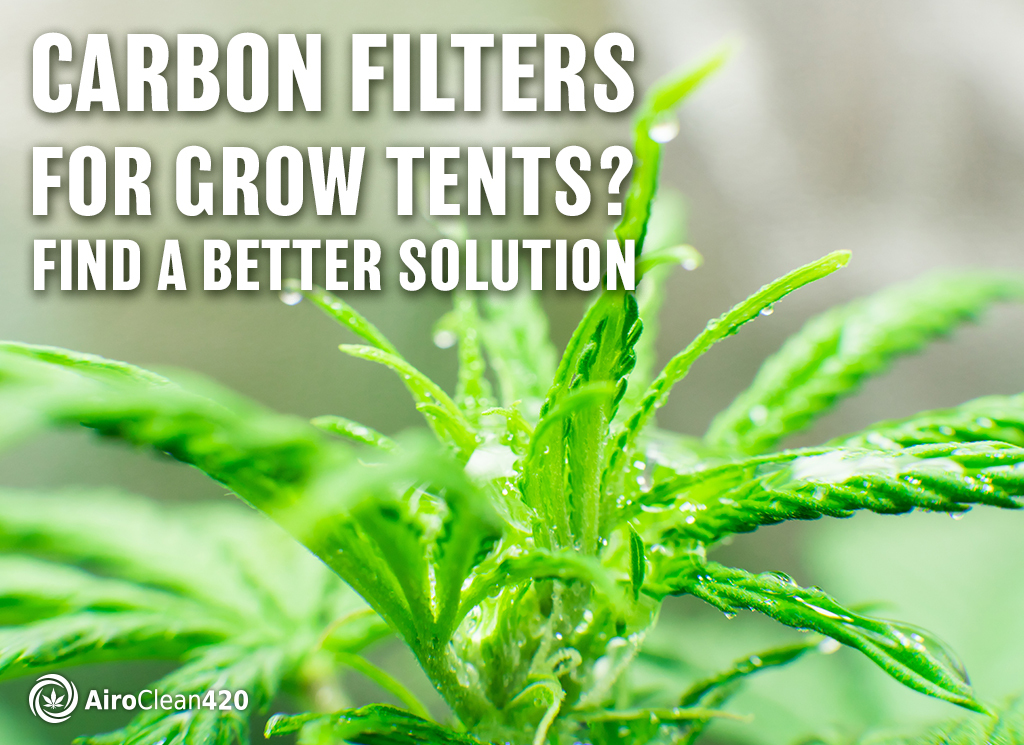 carbon filters for grow tents