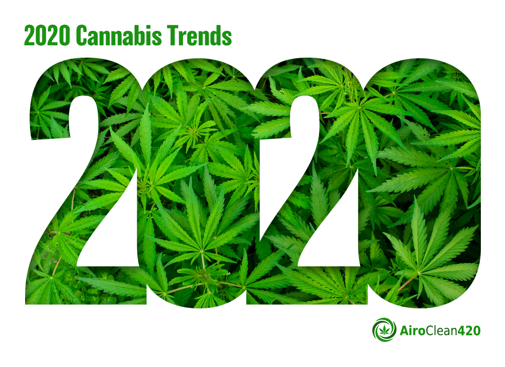 2020 cannabis trends