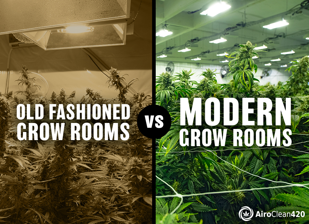 modern grow rooms vs old fashioned grow rooms