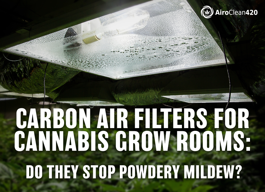 carbon air filters for cannabis grow rooms do they stop powdery mildew?