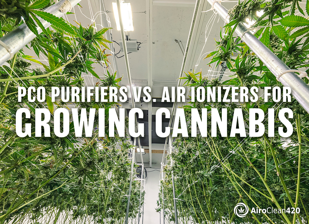 PCO purifiers vs air ionizers for growing cannabis