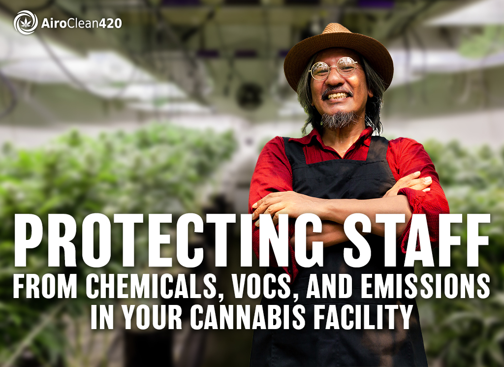 protecting staff from chemicals, vocs, and emissions in your cannabis facility