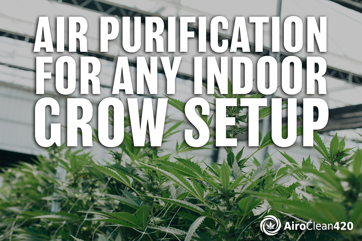 Air purification for any indoor grow setup
