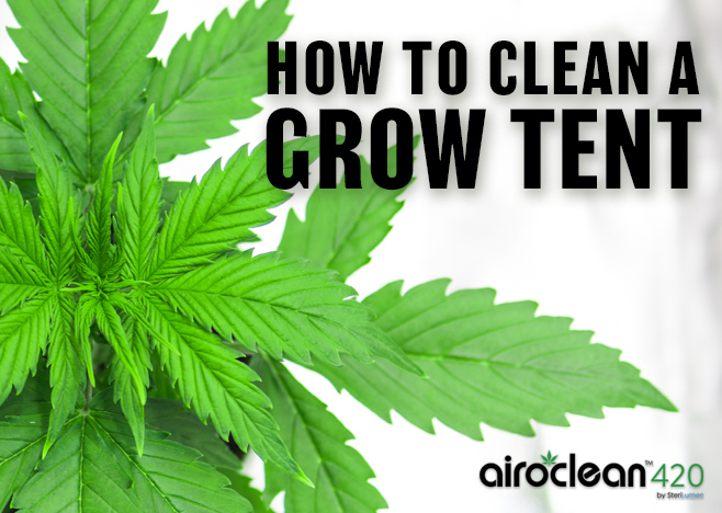 how to clean a grow tent